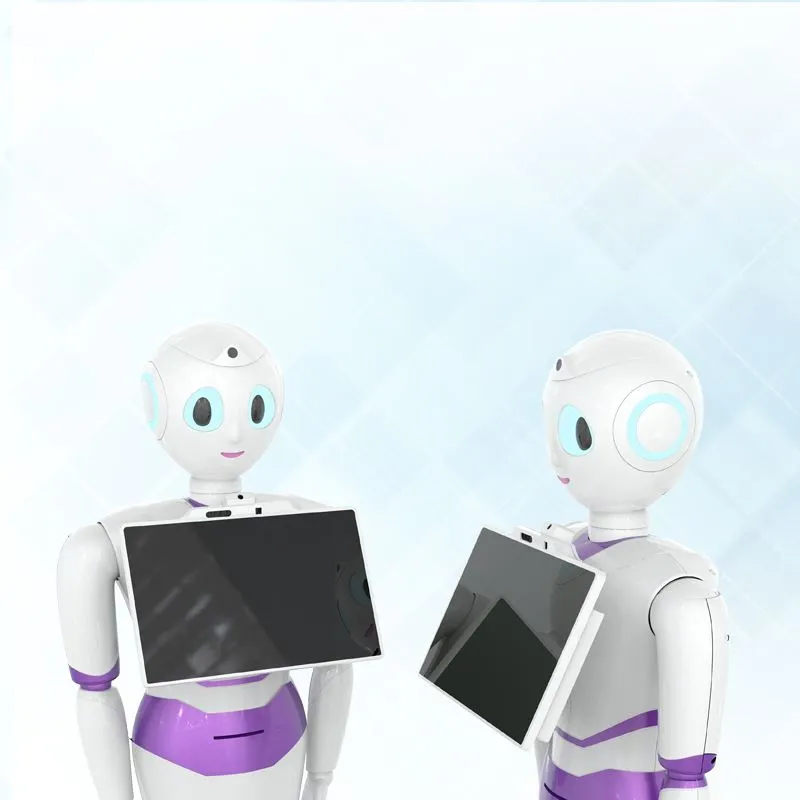 রোবট শিল্প চাইনিজ যুগে প্রবেশ করবে