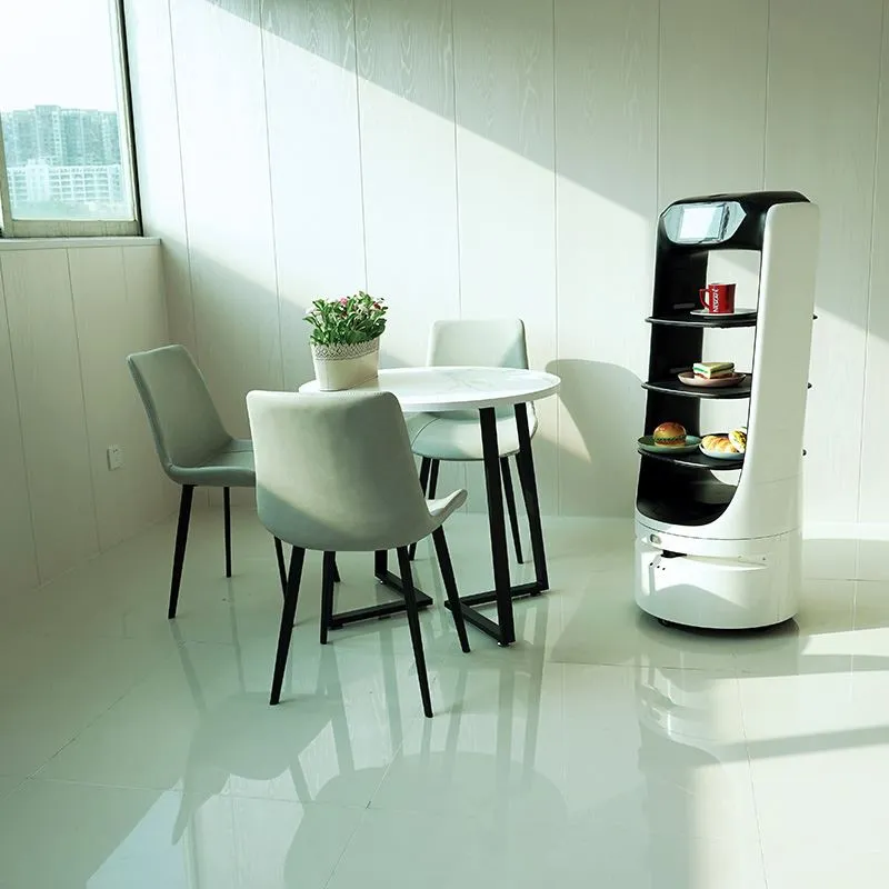 রিম্যান ফুড ডেলিভারি রোবট