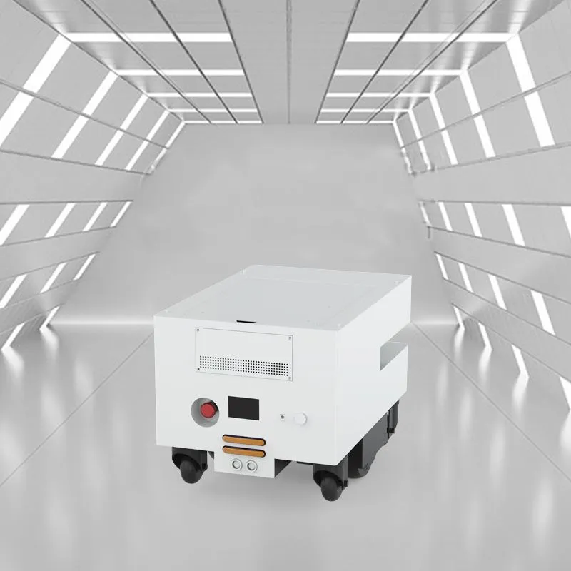 AGV মার্কেট বড় এবং প্রশস্ত